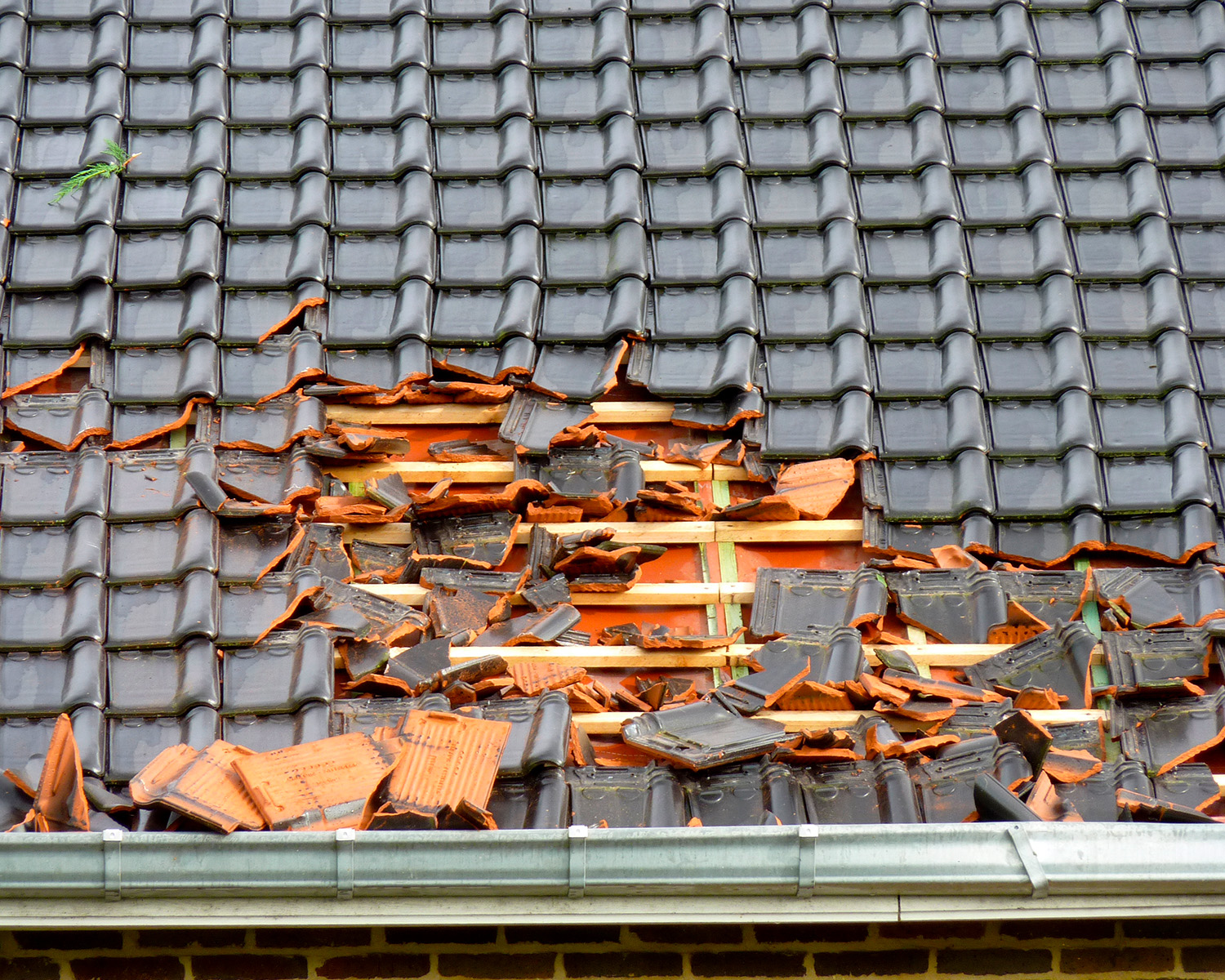 Dachsanierung Bonn Dachdecker