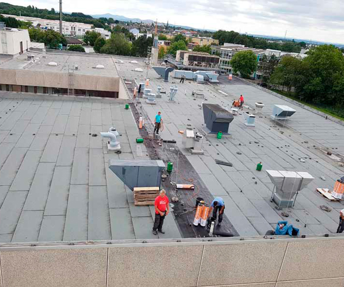 Frank Sülzen projekt 6